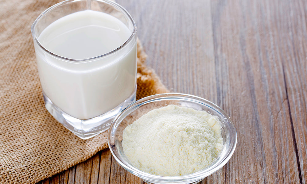 Leche en Polvo